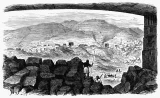 ץȤгηʿ ٤Υȥˤггηʿ ץȤĦ C1880 ݥץ 18 x 24