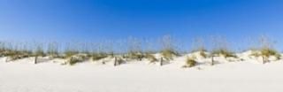 Posterazzi Sand Dunes on Gulf of Mexico Orange Beach Baldwin County Alabama USA 