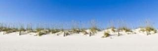 Posterazzi Sand Dunes on Gulf of Mexico Orange Beach Baldwin County Alabama USA 