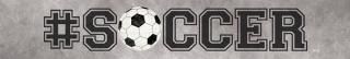 Posterazzi PDXMA1151SMALL Soccer Photo Print 24 x 4 Multi