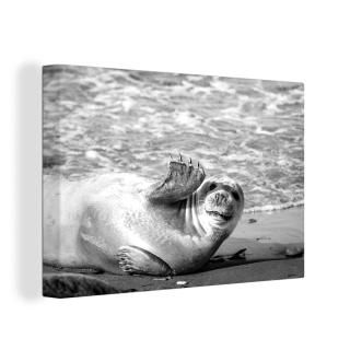 George Best 1946-2005 Nnorthern Irish Soccer Player Photograph C1977 Poster Prin