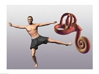 ˤϿʹ֤μΥǥζ᤯˰­ΩäƤ ե󥢡ȡץ 60.96 x 45.72 cm