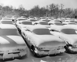 ־ʤ줿 ݥץ 18 x 24