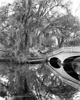 饤ʸ C1900 Nbridge Over The Lake At Magnolia-On-The-Ashley Or Magnolia Gard