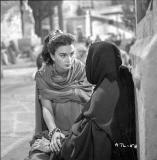 ɥȥ饤󤫤Υ ̿ץ 24 x 30