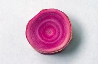 VvvPicsStocktrek Images 饹ᥬץ ֤Ĺ󥰤򸫤ݥץ 34 x 22