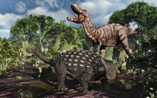 󥭥륹ƥΥ륹 åݥץ Mark StevensonStocktrek᡼ 18 x 11