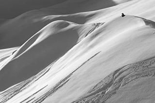 ǥ󡦥֥åȺ üʥΡܡ С ȥꥢݥץ 졼ǥ̿ 17x11