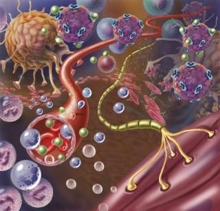 TriFocal CommunicationsStocktrek ImagesˤޥåݥץȤǱ˸Х 14 x 13