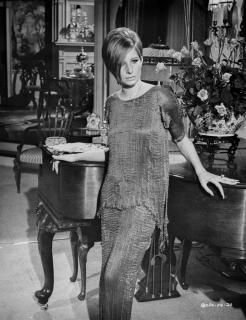 Barbra Streisand Posed In Simple Dress Photo Print 8 x 10
