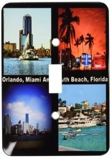3dRose lsp_21722_1 Orlando Miami And South Beach Florida Single Toggle Switch