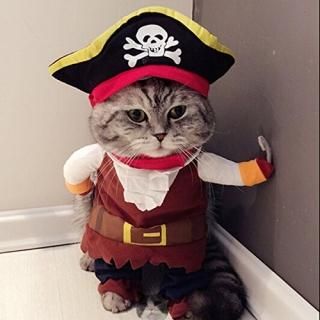 Idepet New Funny Pet Clothes Pirate Dog Cat Costume Suit Corsair Dressing up Par