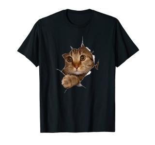 Sweet Kitten Torn Cloth - Funny Cat Lover Cat Owner Cat Lady T-Shirt