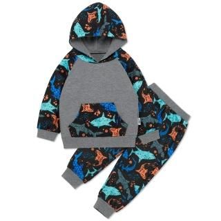 Toddler Baby Boys Summer Outfit Sweatsuit Dinosaur Print Coming Home Pants Hoodi