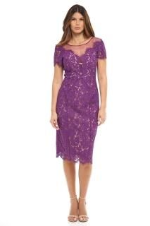 Rene Ruiz Collection Illusion Neck Lace Fitted Cocktail Dress Magenta