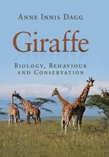 Giraffe Biology Behaviour and Conservation