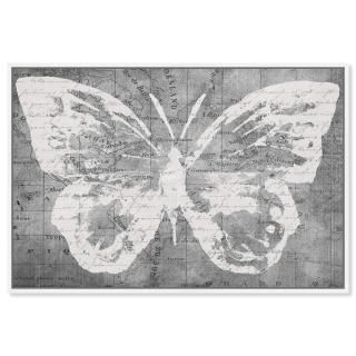 The Oliver Gal Artist Co. Animals Framed Wall Art Canvas Prints 'Traveling Wings