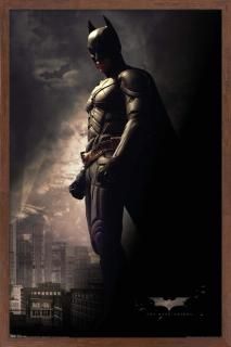 Trends International DC Comics Movie - The Dark Knight - Batman in the Shadows W