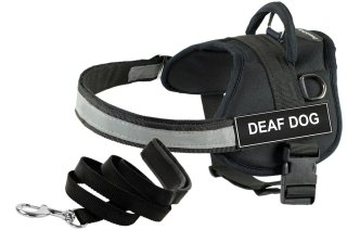 Dean and Tyler Bundle - One DT Works Harness Deaf Dog Medium 28 - 38 + One Padde