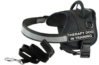 Dean and Tyler Bundle One DT Works Harness Therapy Dog In Training Large with On