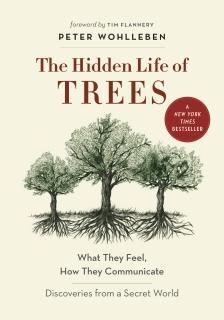 The Hidden Life of Trees What They Feel How They CommunicateDiscoveries from A 
