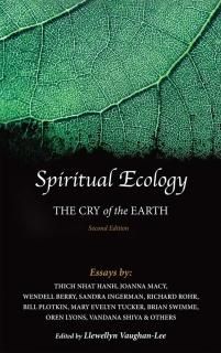 Spiritual Ecology The Cry of the Earth