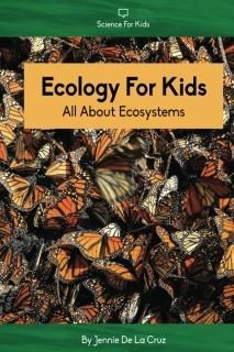 Ecology For Kids All About Ecosystems Science for Kids