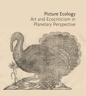 Picture Ecology Art and Ecocriticism in Planetary Perspective