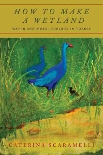 How to Make a Wetland Water and Moral Ecology in Turkey