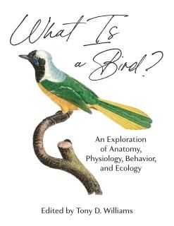 What Is a Bird An Exploration of Anatomy Physiology Behavior and Ecology