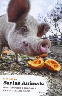 Saving Animals Multispecies Ecologies of Rescue and Care