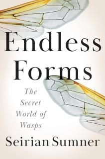 Endless Forms The Secret World of Wasps