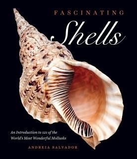 Fascinating Shells An Introduction to 121 of the Worlds Most Wonderful Mollusks