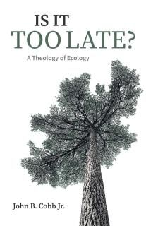 Is It Too Late A Theology of Ecology