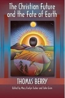 The Christian Future and the Fate of Earth Ecology and Justice Series
