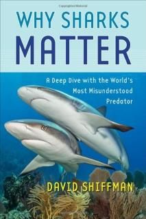 Why Sharks Matter A Deep Dive With the World's Most Misunderstood Predator