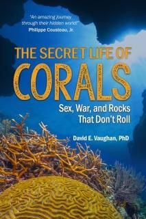 The Secret Life of Corals Sex War and Rocks That Dont Roll