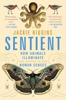 Sentient How Animals Illuminate the Wonder of Our Human Senses