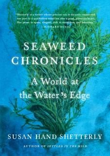 Seaweed Chronicles A World at the Waters Edge