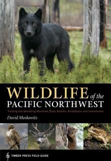 Wildlife of the Pacific Northwest Tracking and Identifying Mammals Birds Reptile