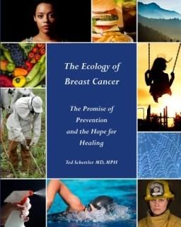 The Ecology of Breast Cancer The Promise of Prevention and the Hope for Healing