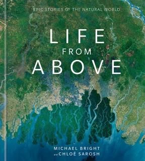 Life from Above Epic Stories of the Natural World