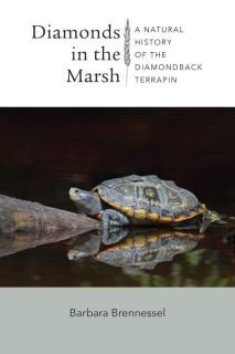Diamonds in the Marsh A Natural History of the Diamondback Terrapin