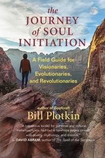 The Journey of Soul Initiation A Field Guide for Visionaries Evolutionaries and 