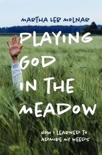 Playing God in the Meadow How I Learned to Admire My Weeds