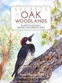 Secrets of the Oak Woodlands Plants and Animals among California's Oaks
