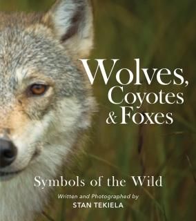 Wolves Coyotes & Foxes Symbols of the Wild Favorite Wildlife
