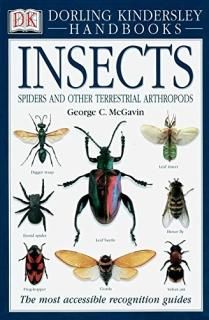 Insects The Most Accessible Recognition Guide DK Smithsonian Handbook