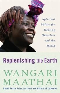 Replenishing the Earth Spiritual Values for Healing Ourselves and the World