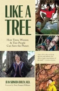 Like a Tree How Trees Women and Tree People Can Save the Planet Ecofeminism Envi